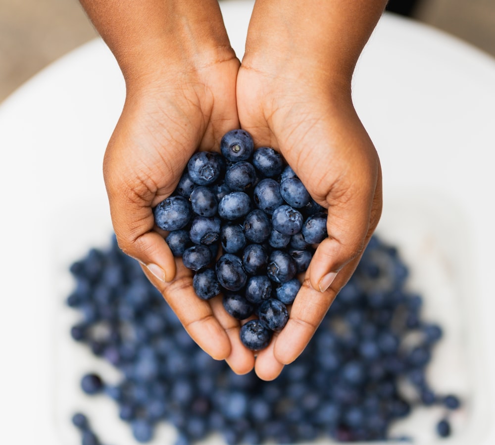 a person holding a bunch of blueberries in their hands