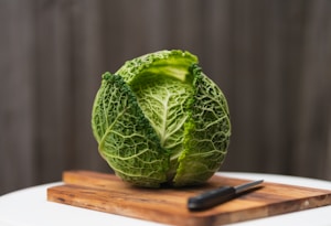 Fermentation Guide