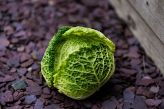 A rustic wooden table with fresh cabbage heads and traditional sauerkraut jars, surrounded by green fields under a clear sky.