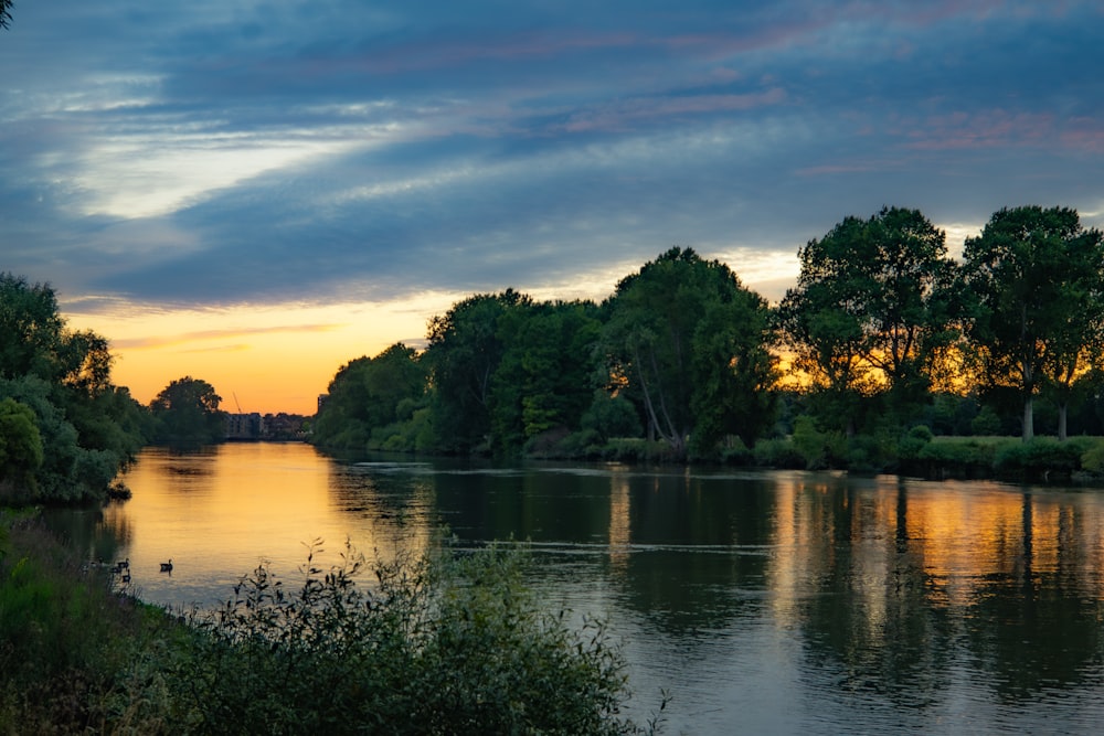 a body of water surrounded by trees at sunset