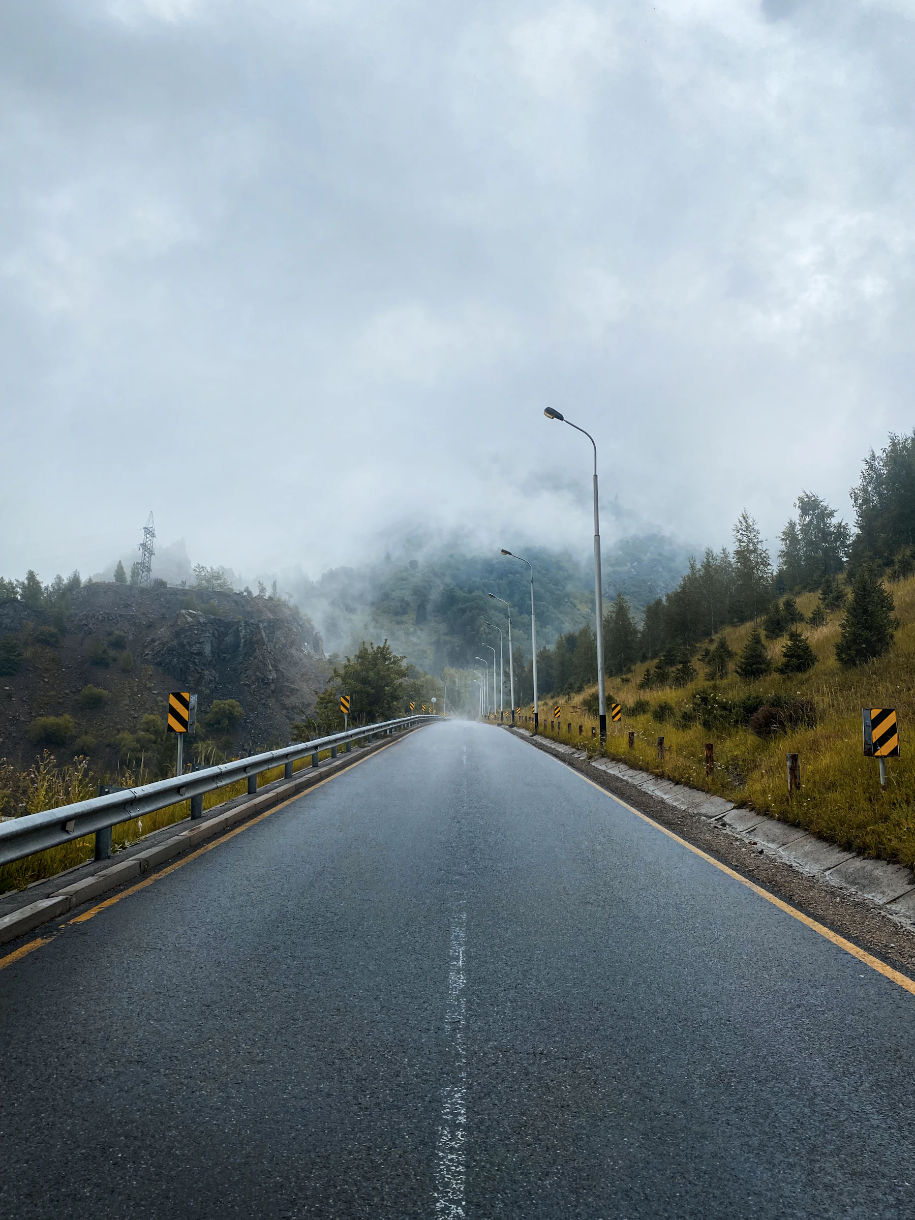 A road with foggy sky and trees, atmospheric