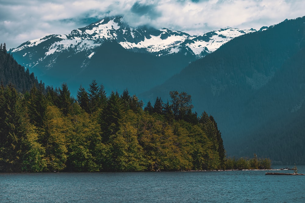 a lake surrounded by trees with a mountain in the background