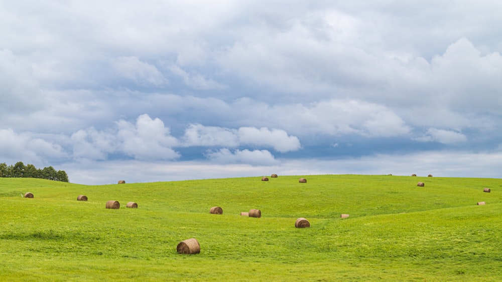a large field of green grass with bales of hay in the foreground