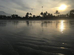 A serene beach at sunset with golden light reflecting on calm ocean waters and palm trees swaying gently.