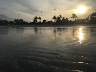 A serene beach at sunset with golden light reflecting on calm ocean waters and palm trees swaying gently.