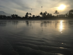 A scenic beach sunset with golden light reflecting on calm waters, framed by palm trees.