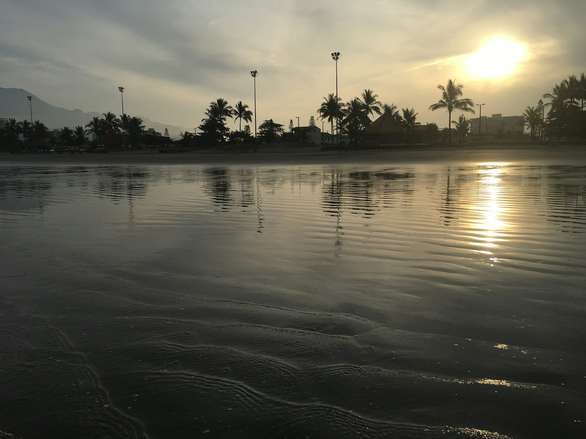 A breathtaking sunset over the serene beaches of Goa, with golden light reflecting off gentle waves and silhouetted palm trees.