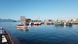 A serene harbor scene with boats docked against a backdrop of the Hong Kong skyline.