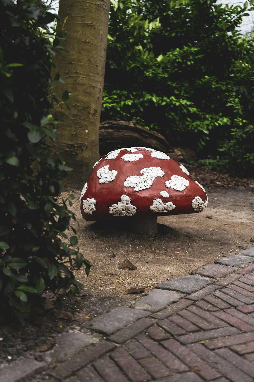a red and white mushroom sitting on the ground next to a tree