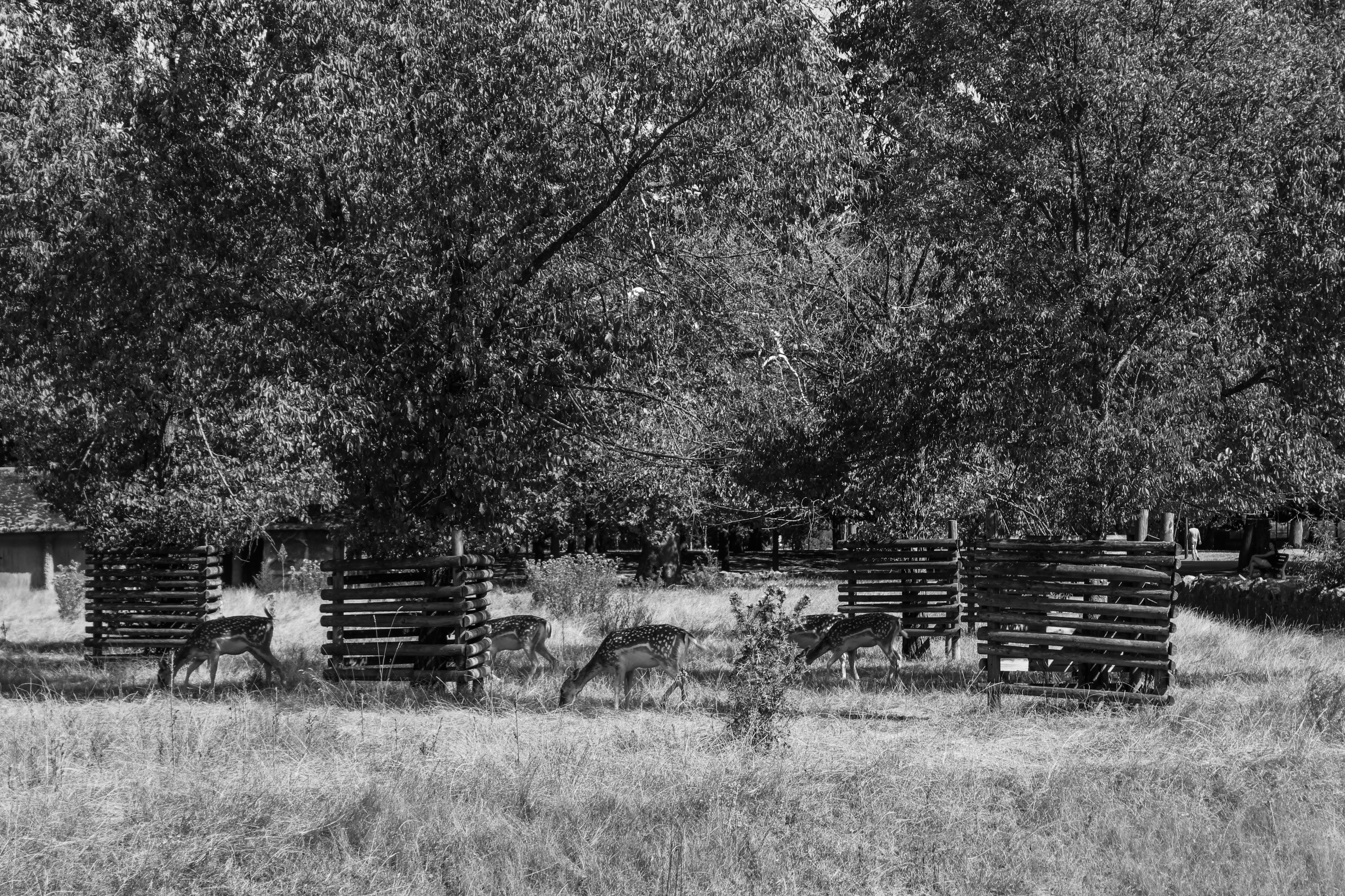 Photo by garanceguerrero