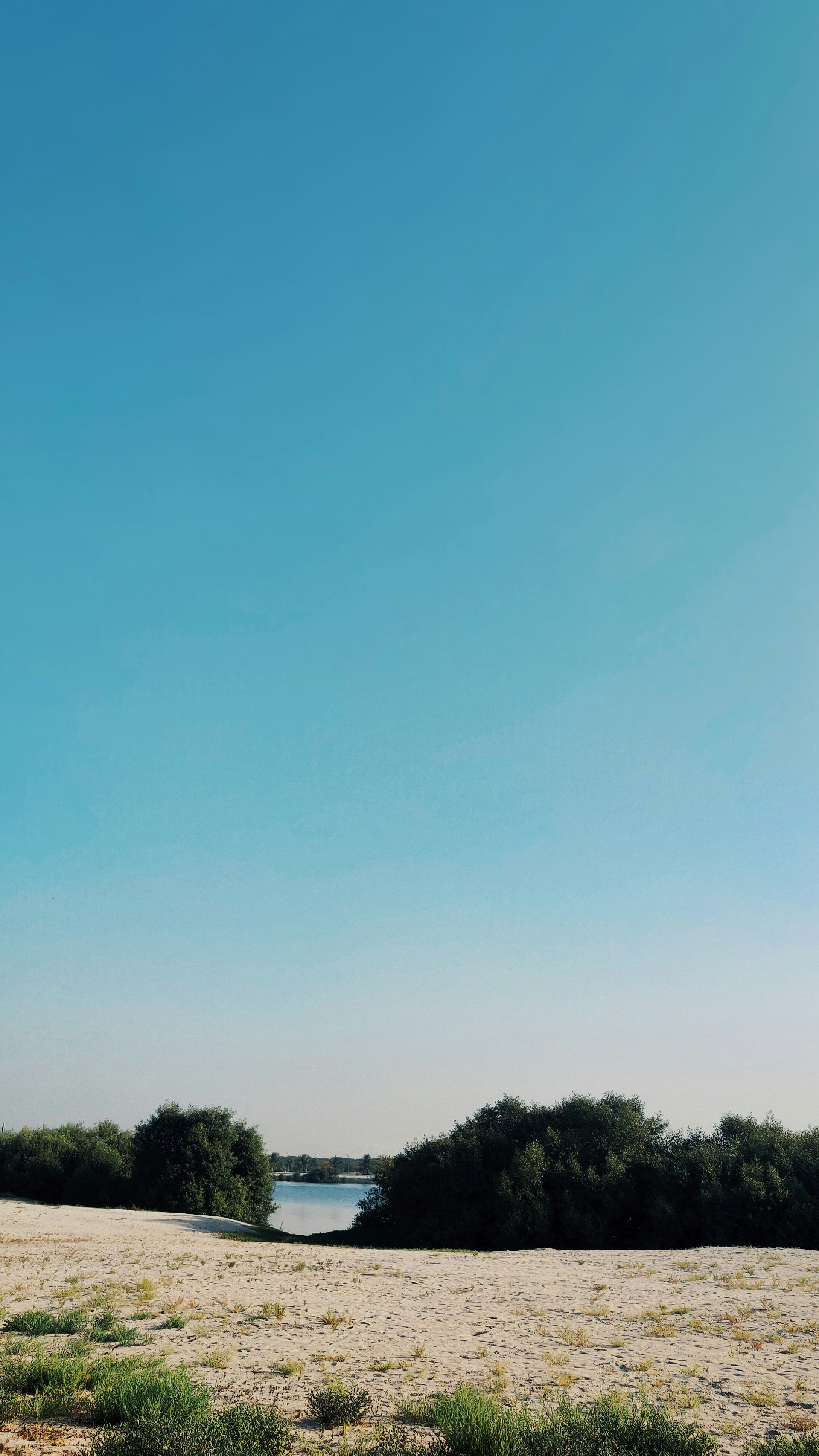 a grassy field with a body of water in the distance