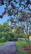 A vibrant public park with walking paths, trees, and blooming flowers under a clear sky.