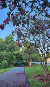 A vibrant public park with walking paths, trees, and blooming flowers under a clear sky.