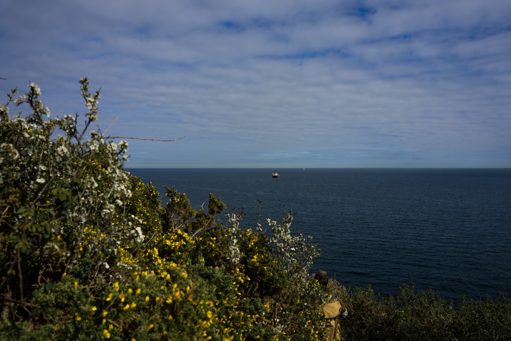 a view of a body of water with a boat in the distance