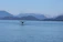 A joyful family watching a whale surface near their boat under a clear blue sky.