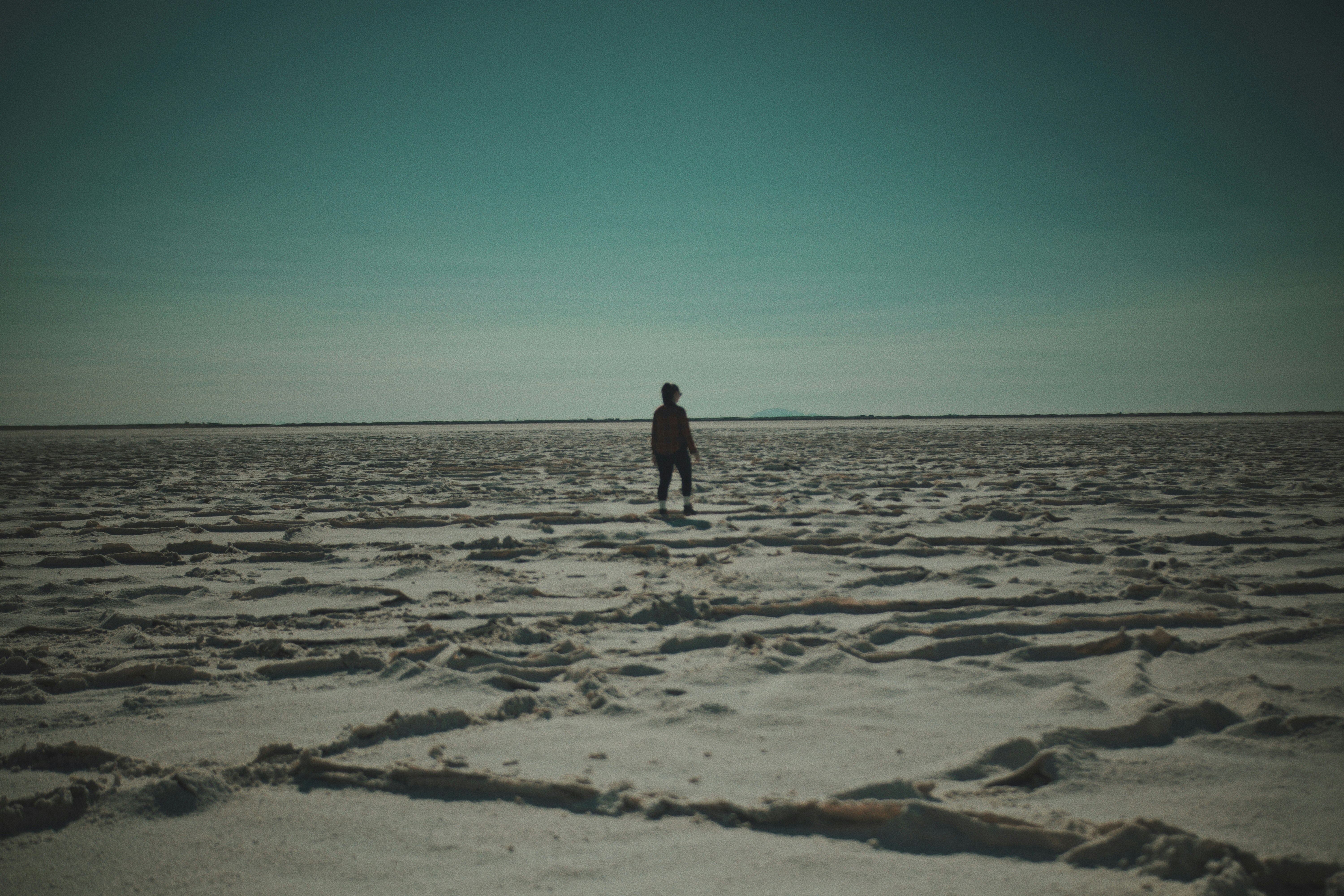 Photo by michaeljfali