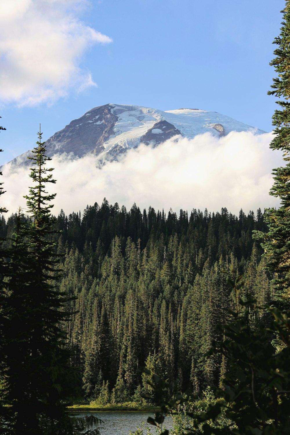 a mountain covered in snow and surrounded by trees