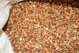 An open sack filled with a large quantity of roasted coffee beans, with various shades of brown and tan visible. The texture of the beans is rough and uneven, indicating a variety of roasting levels.