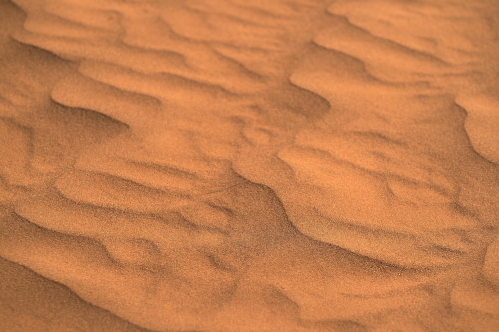 a sandy area with a small amount of sand