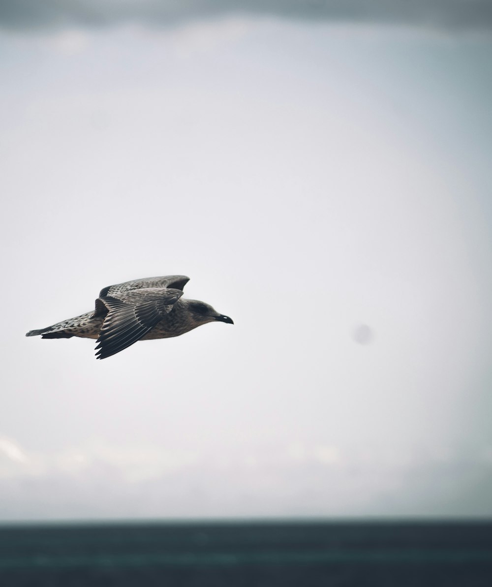 a bird flying over the ocean on a cloudy day