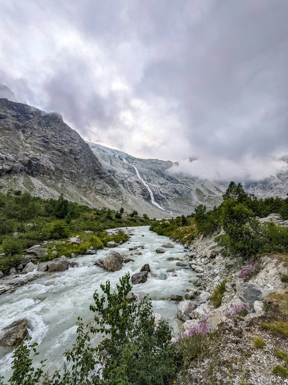 a river running through a lush green forest