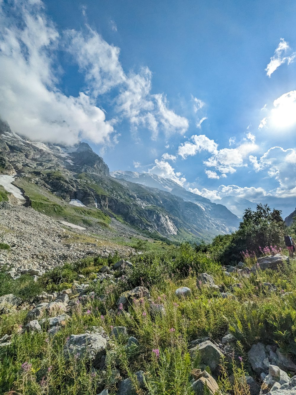 a view of a mountain range with rocks and plants