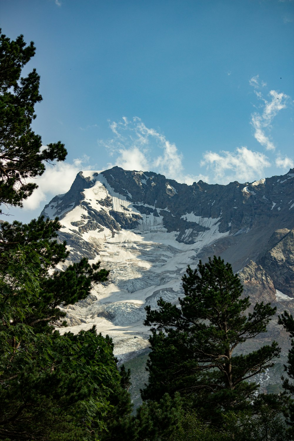 a snow covered mountain surrounded by trees under a blue sky