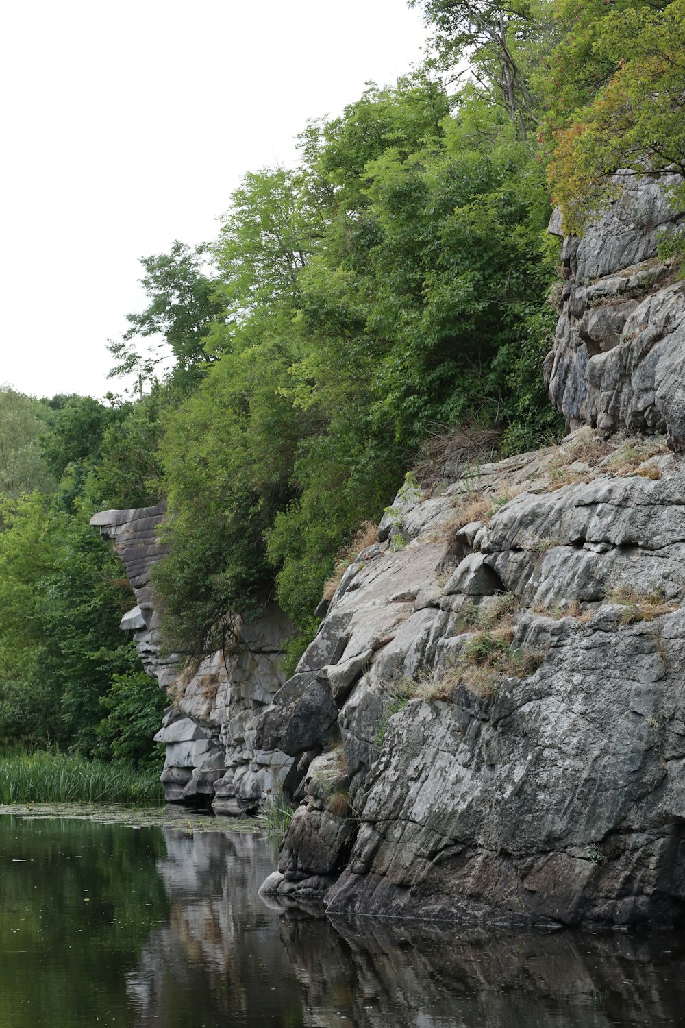 a body of water surrounded by rocks and trees