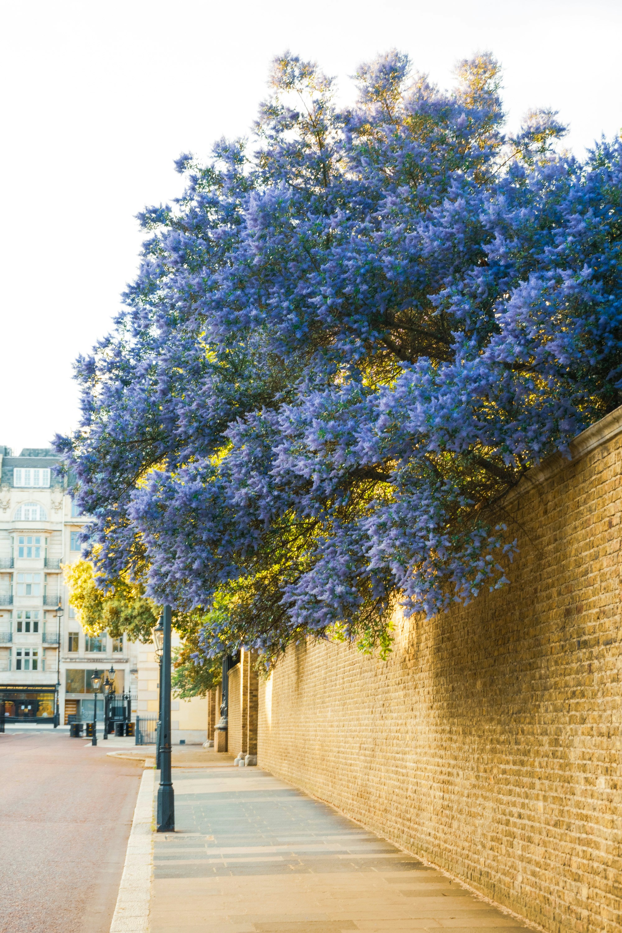 Photo by benjamin_photography