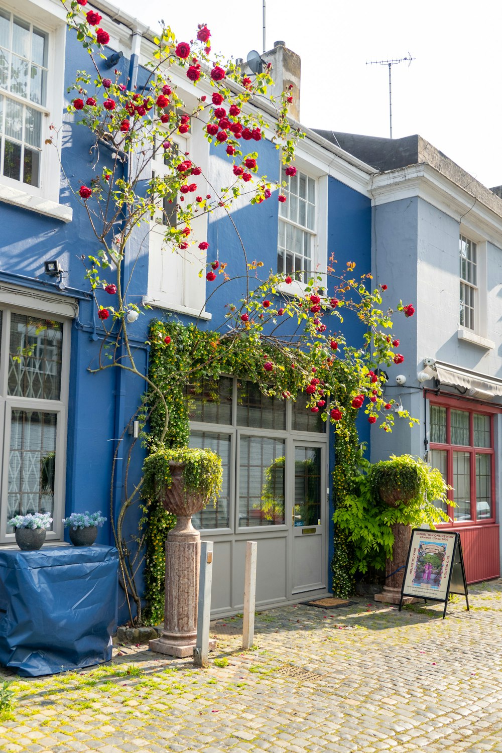a blue building with red flowers growing on it
