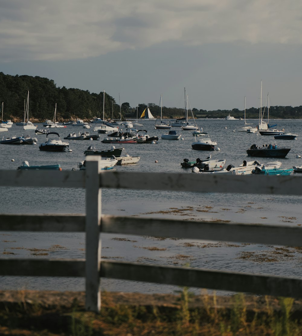 a large body of water filled with lots of boats