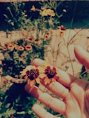 A close-up of hands holding blooming flowers in a garden.