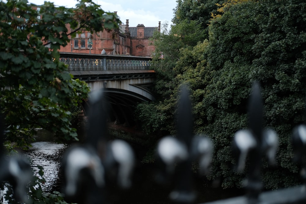 a bridge over a river next to a lush green forest