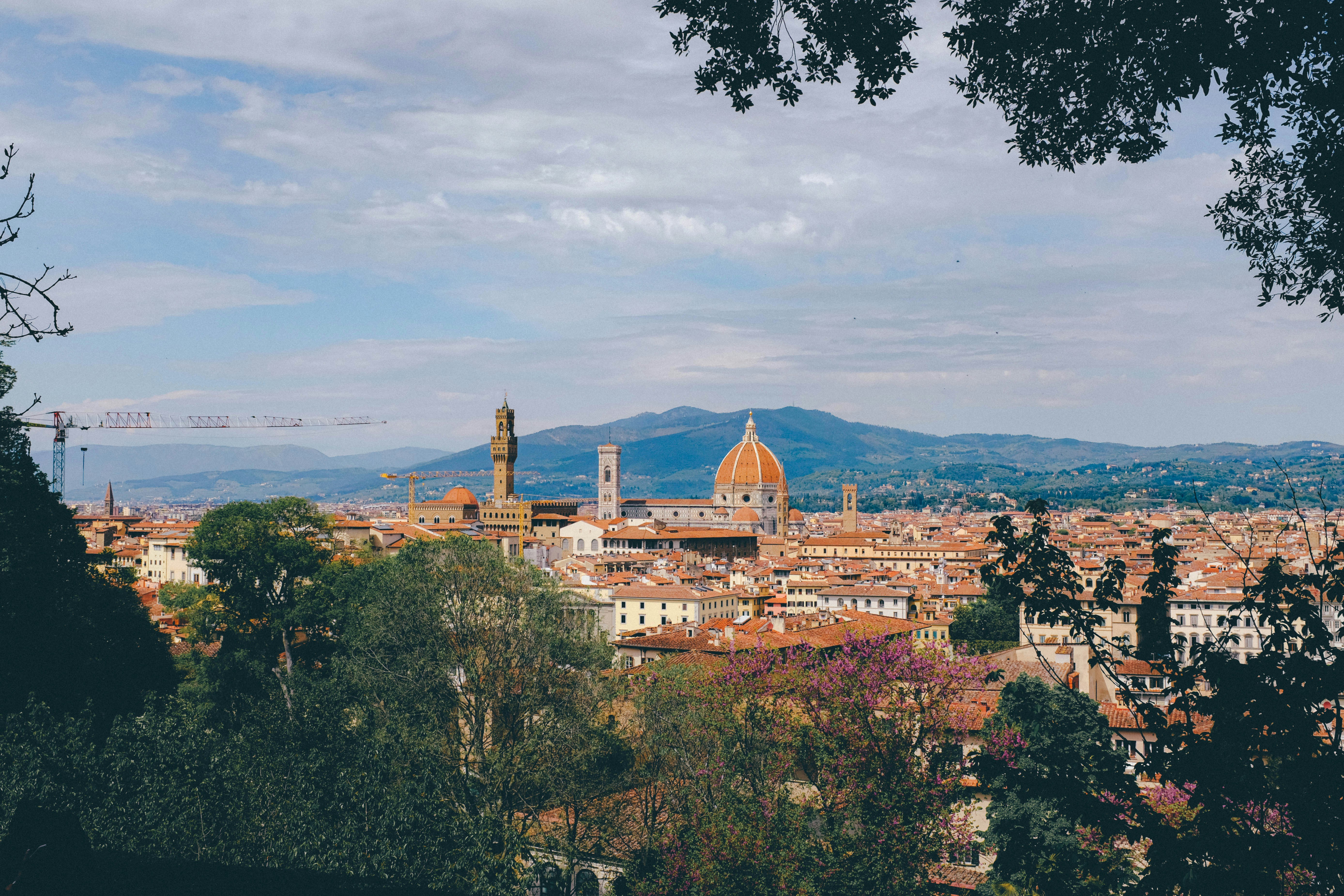 A view of a city with mountains in the background