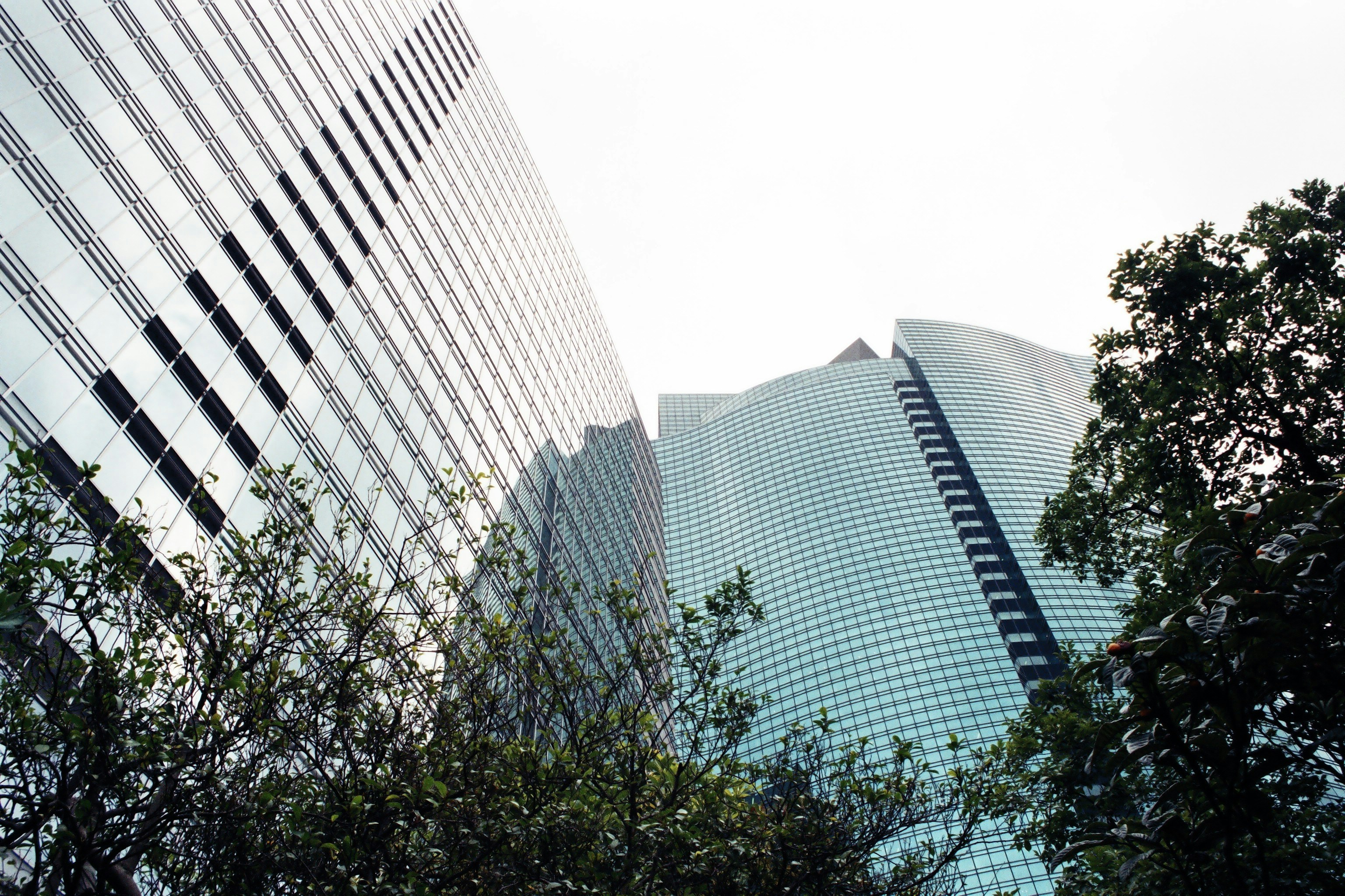 삼성증권 CMA 통장 RP형이란? 현재 이율 총정리