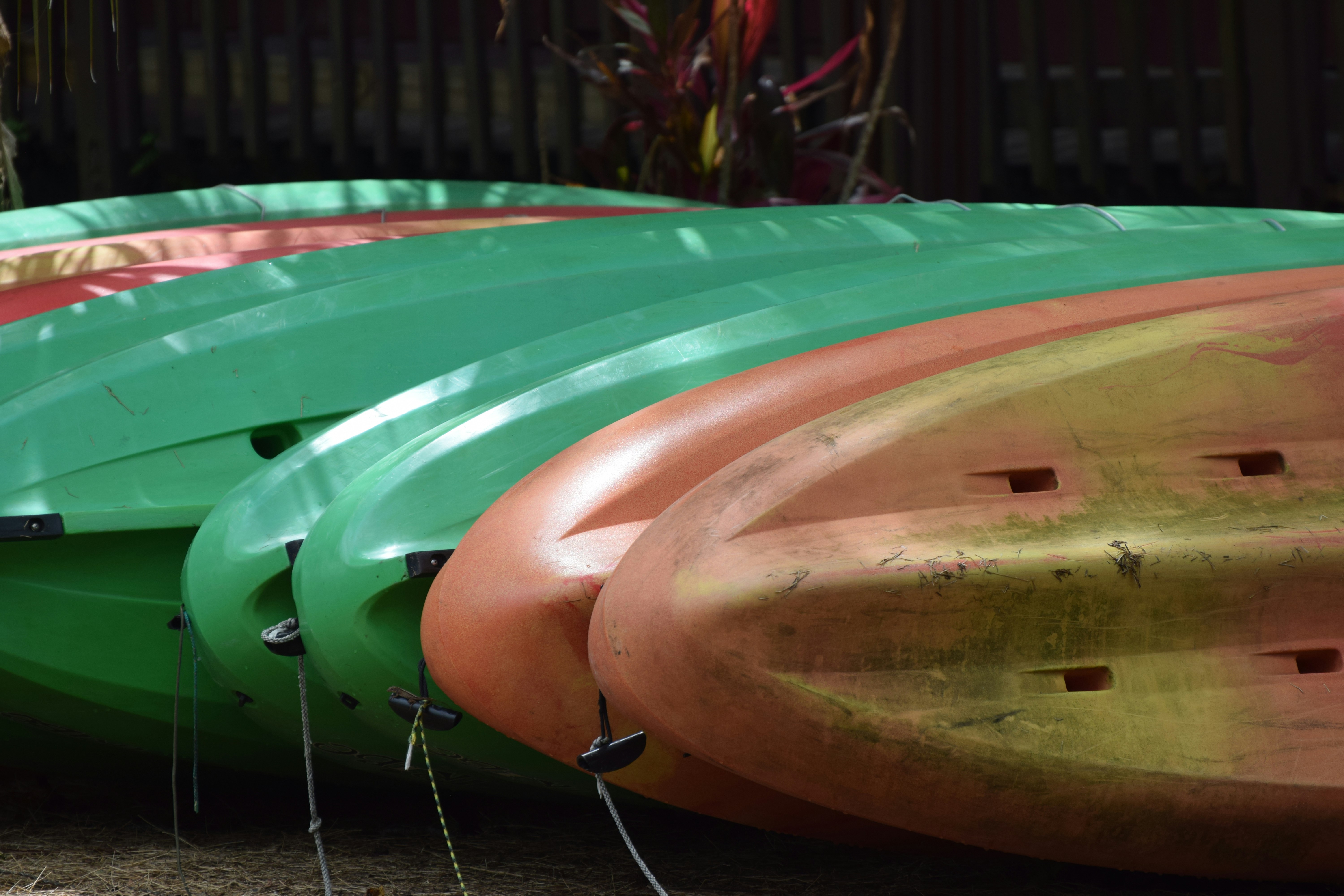 Concerns About Sinking Florida Keys: Environmental Reality