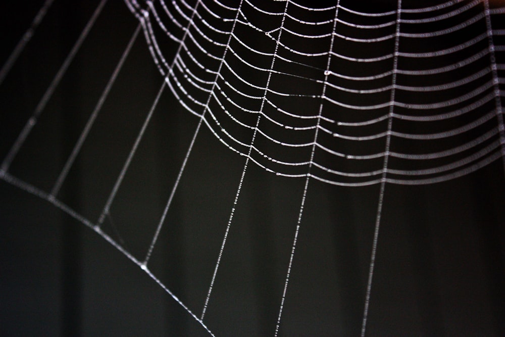 a close up of a spider web on a wall