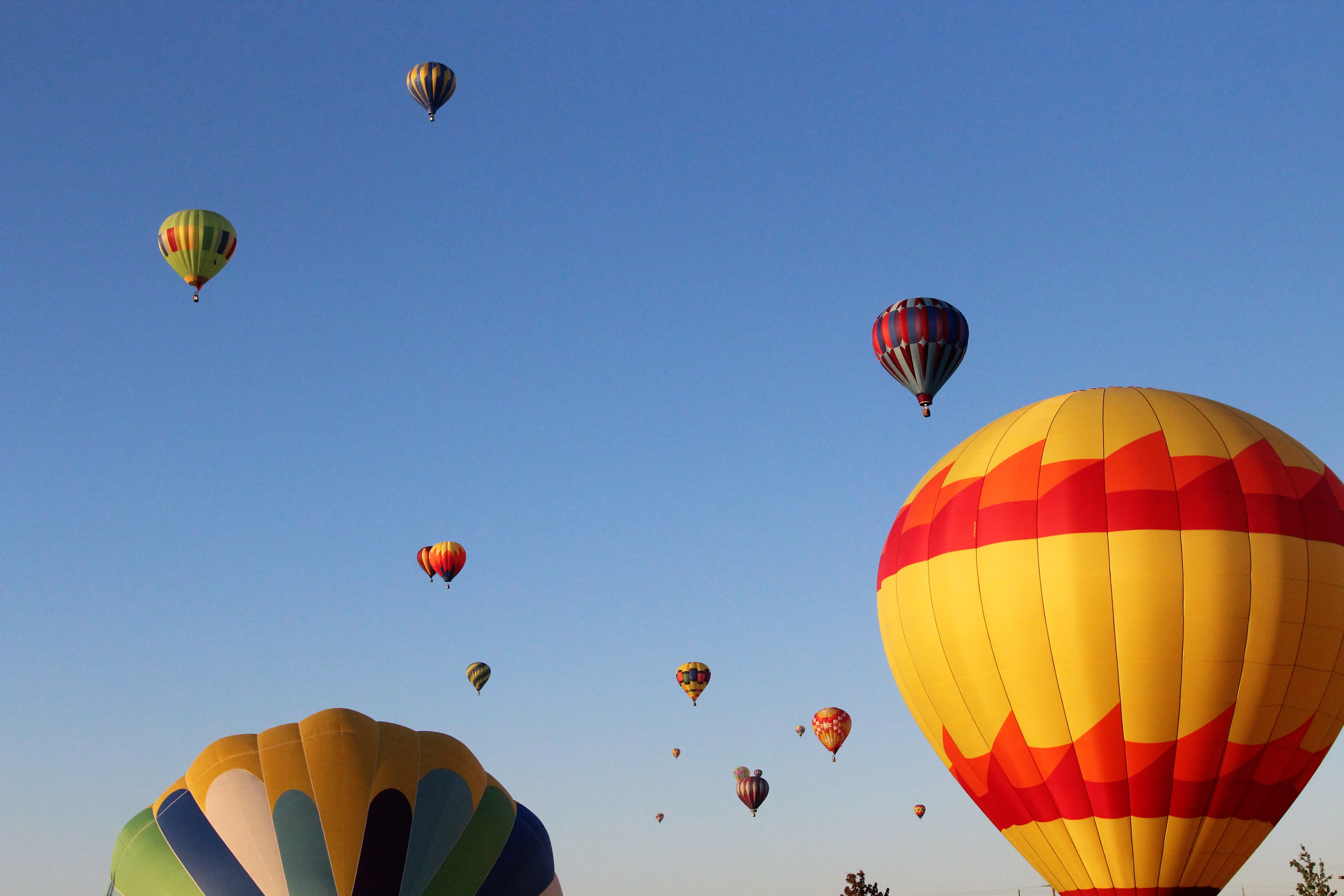 Hot air balloons rising over the Willamette Valley near Albany, Oregon