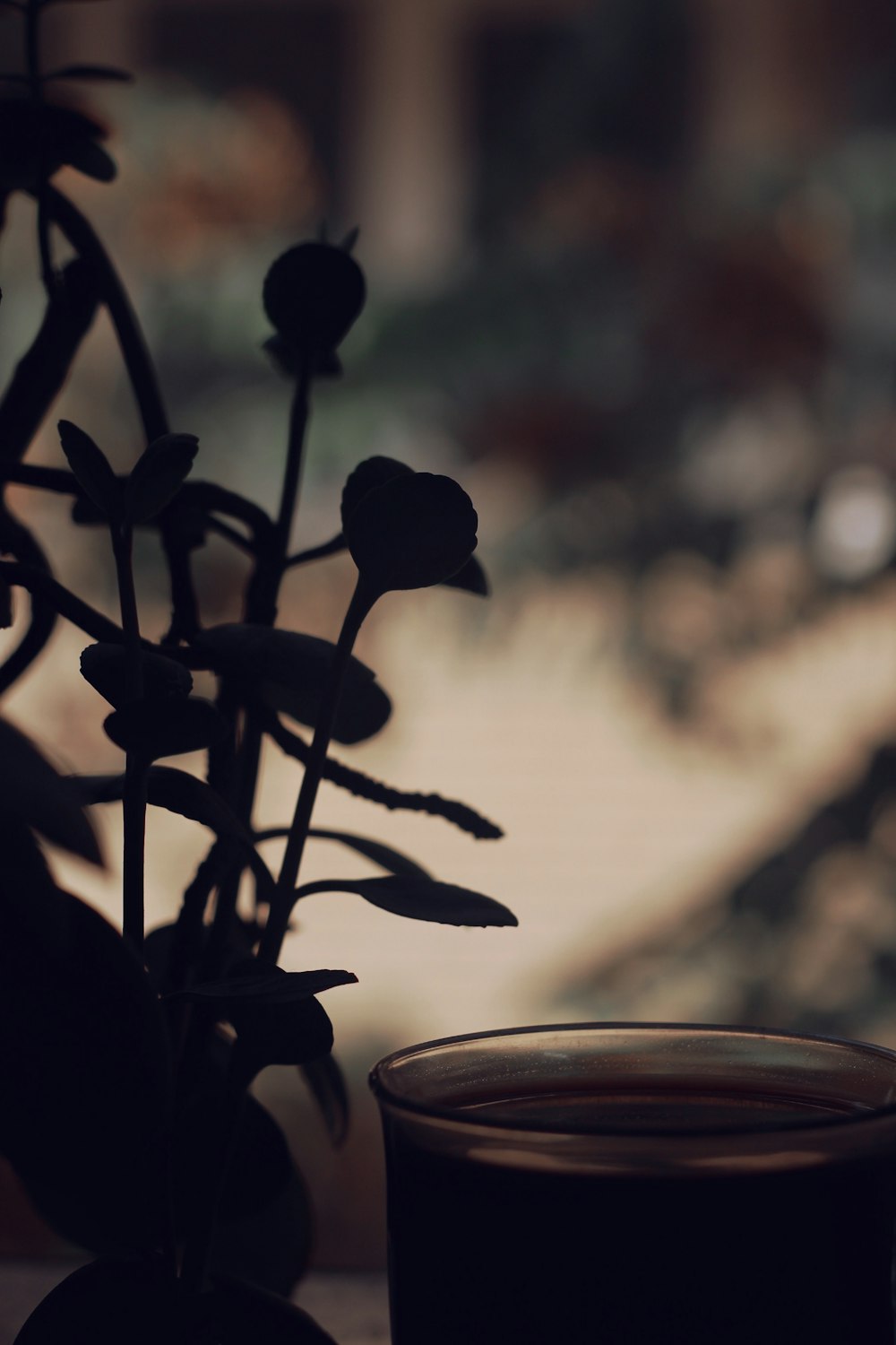 a cup of coffee sitting next to a plant