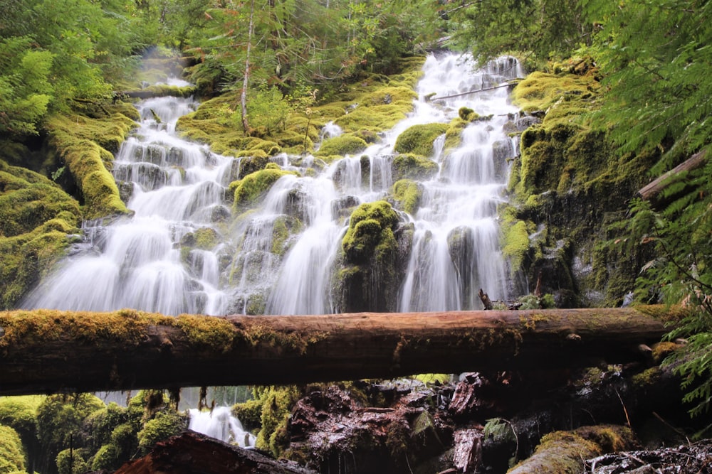 a large waterfall in the middle of a forest