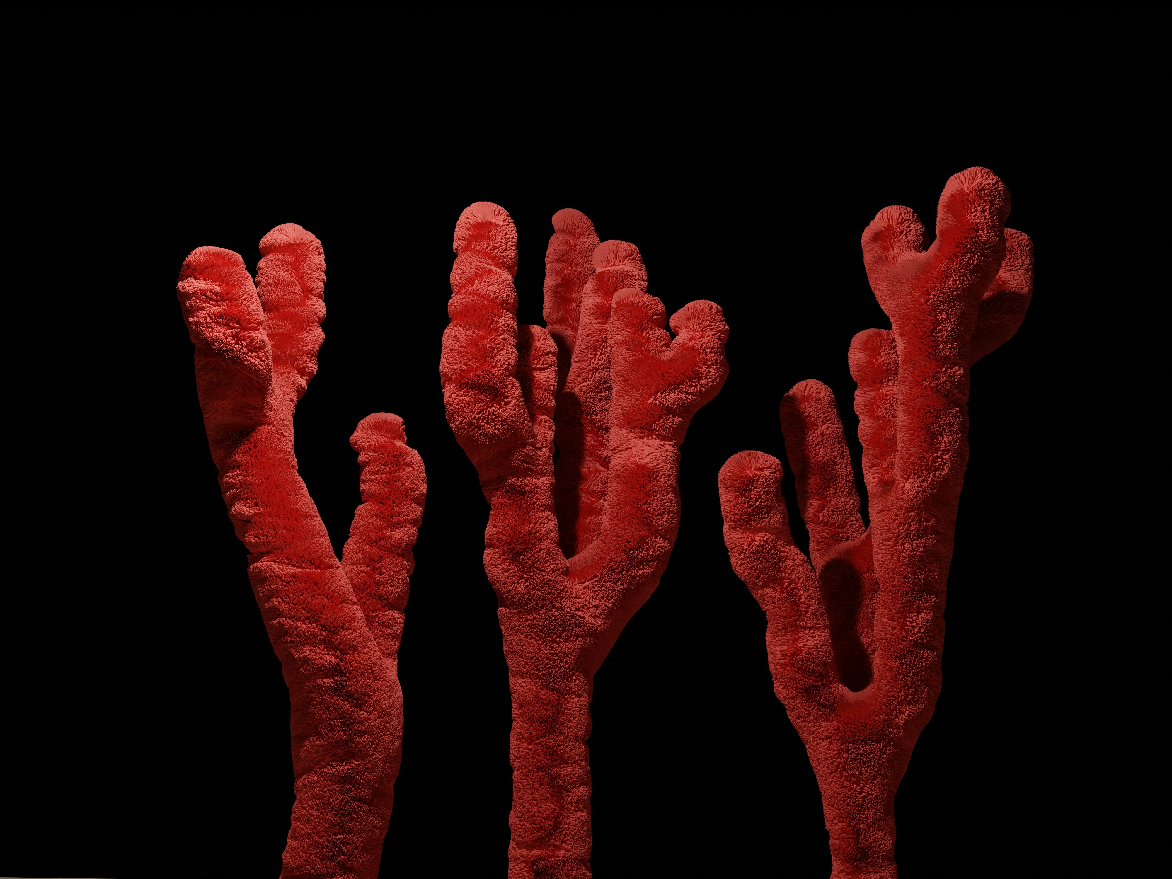 red corals with a dark background
