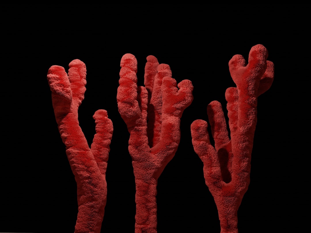 a group of red corals against a black background, red corals with a dark background