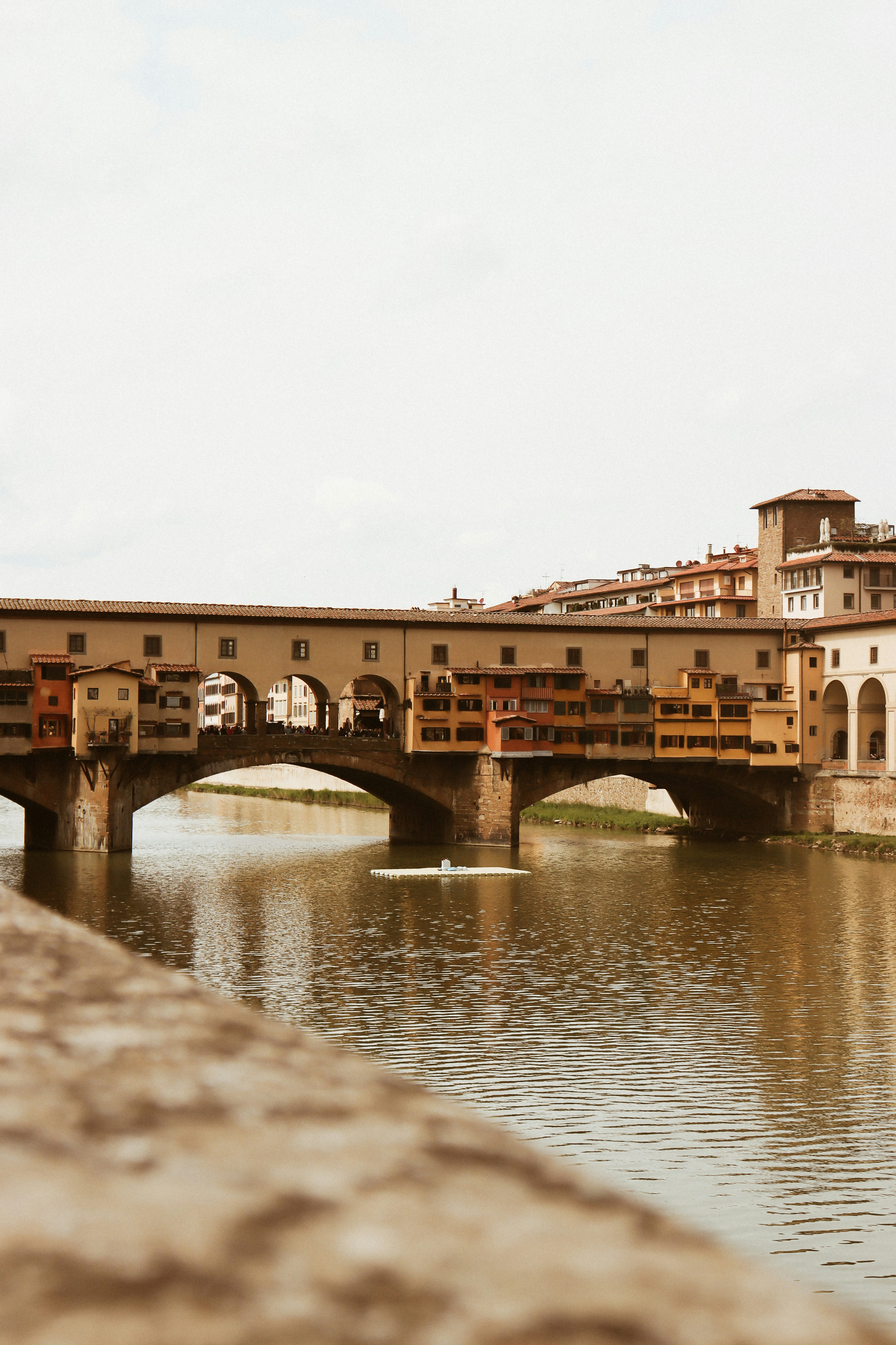 Photo by nicolearangolang