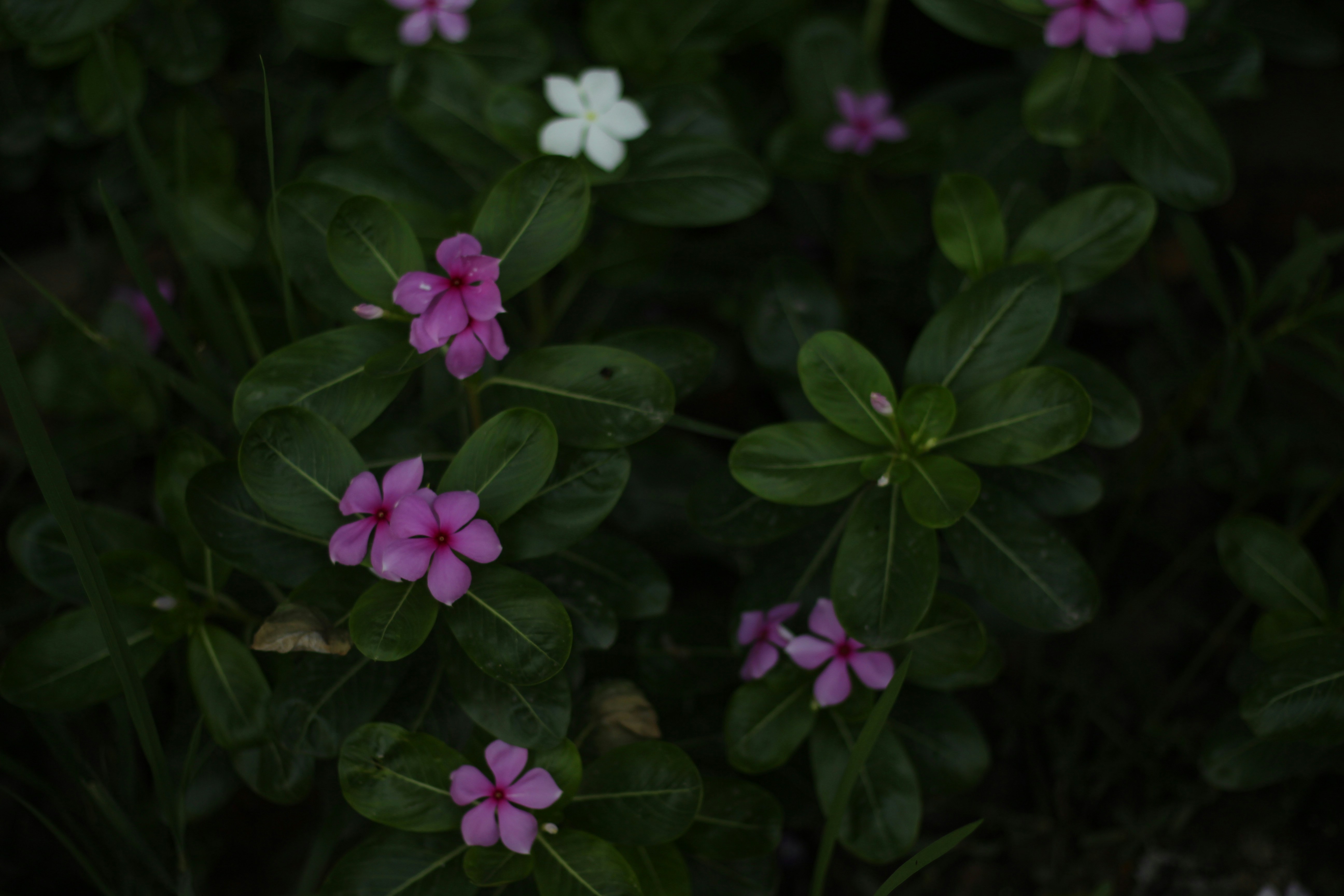 Photo by praveenraj137