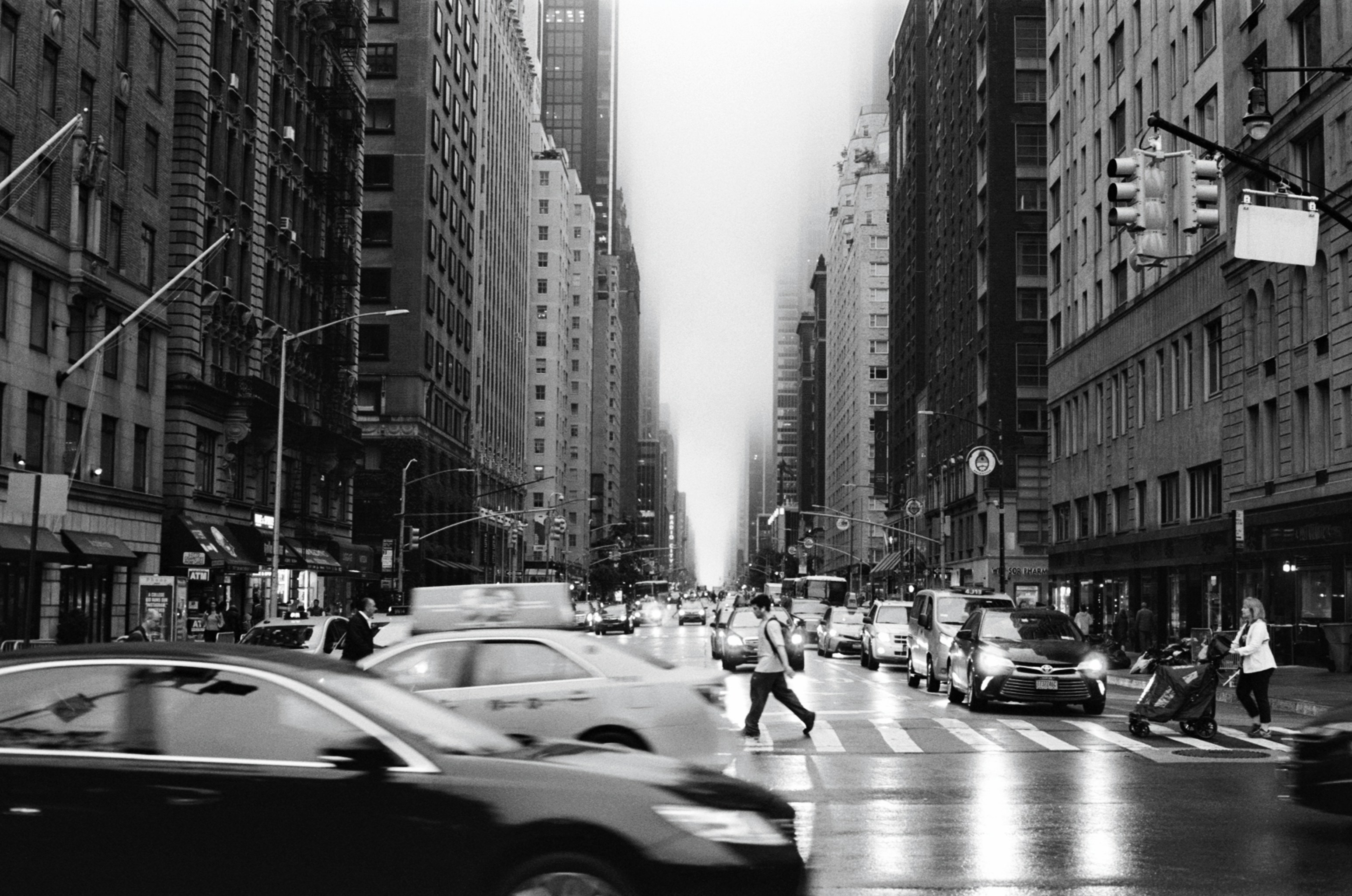 Photo by tangledgreen