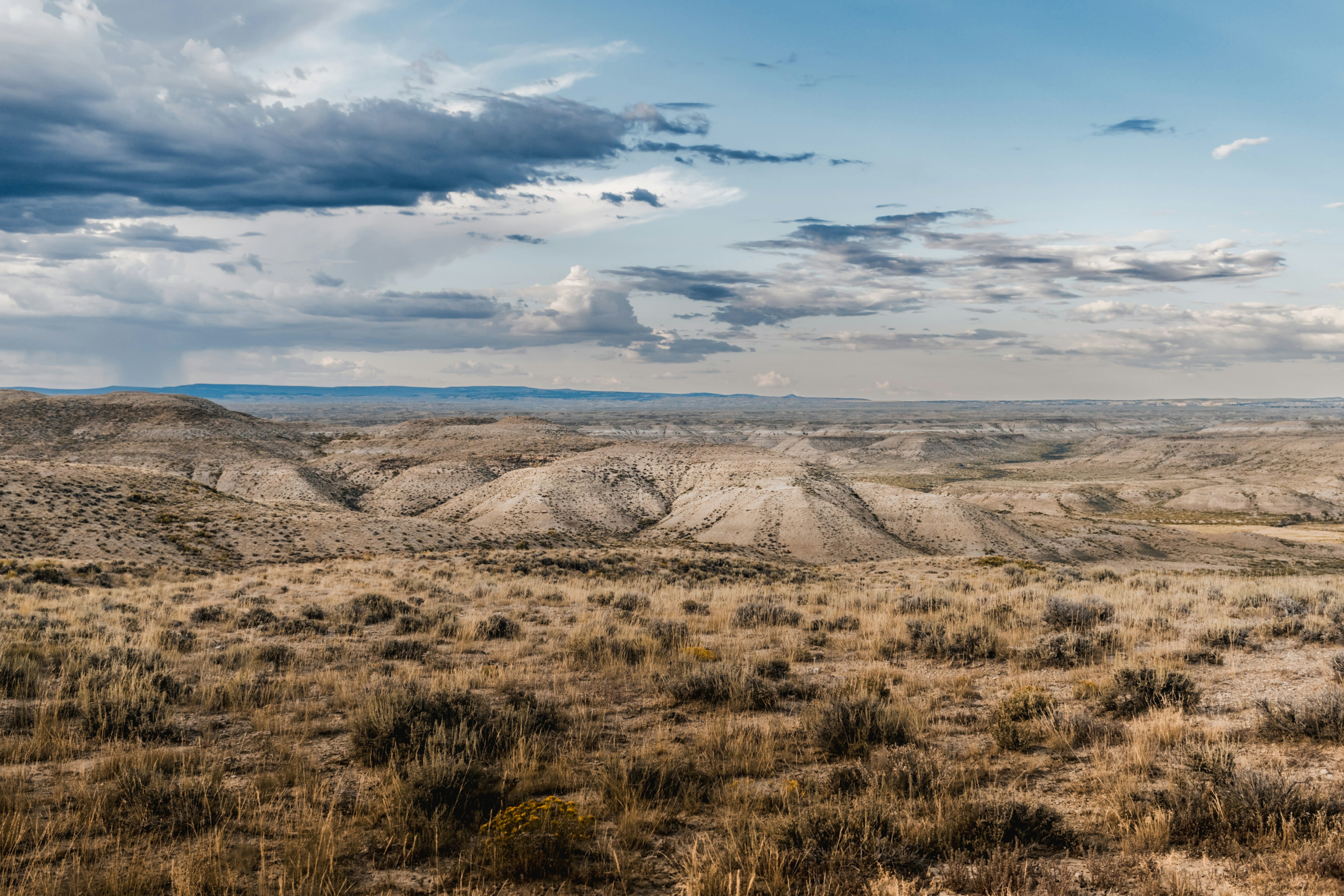 Photo by michaelhystead