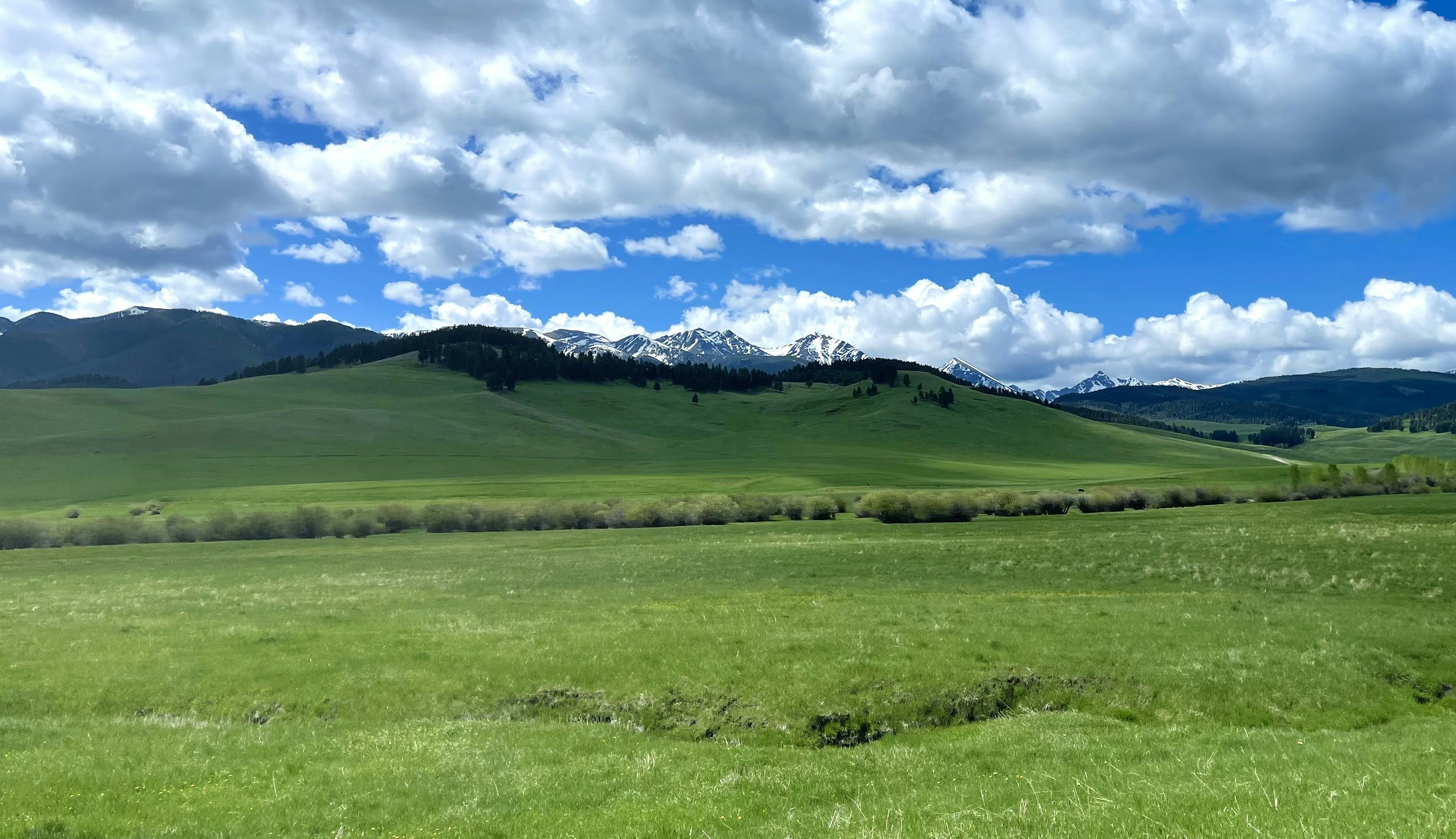 Photo by hannah_inmon