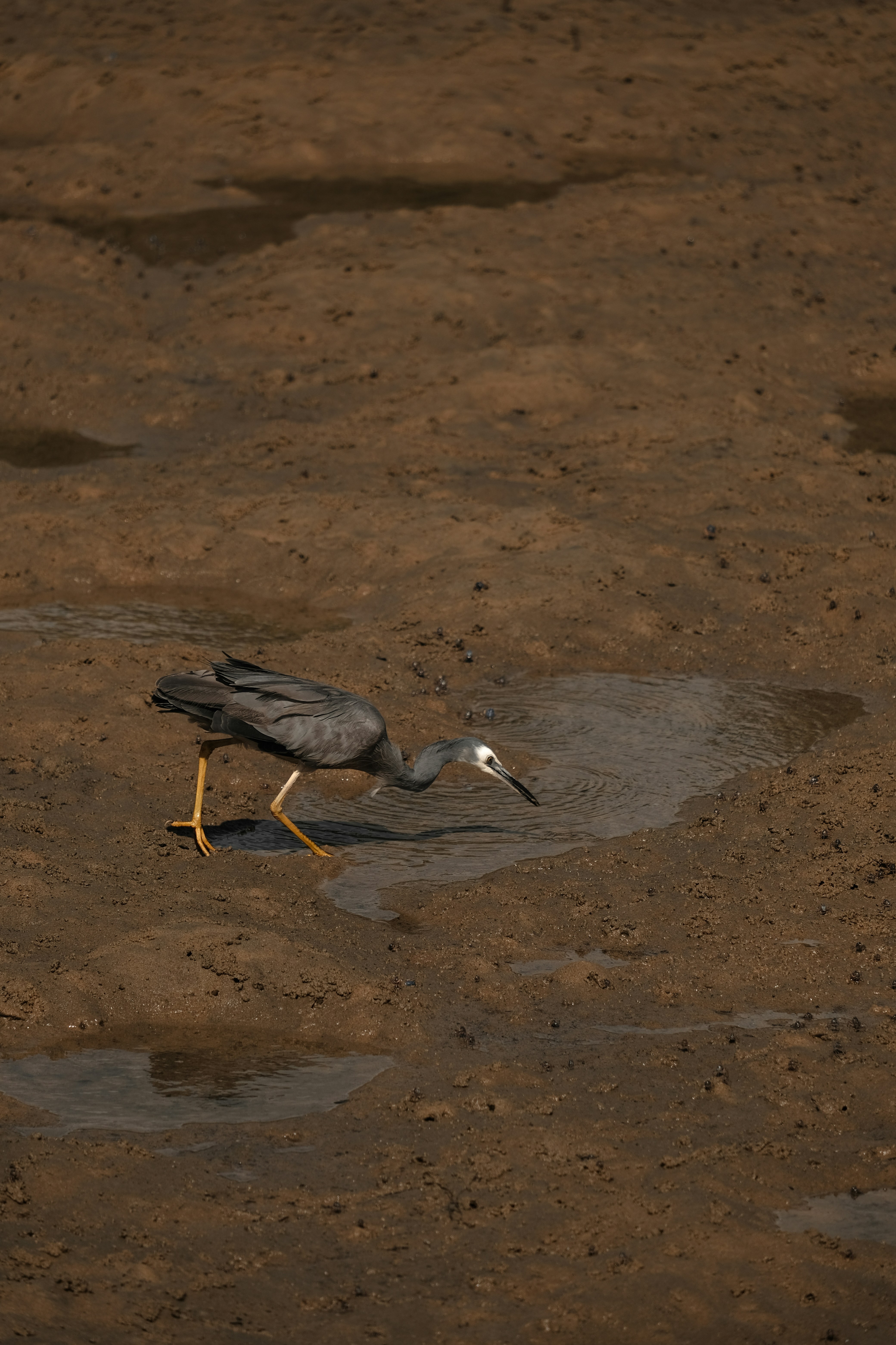 Photo by valeriiamiller