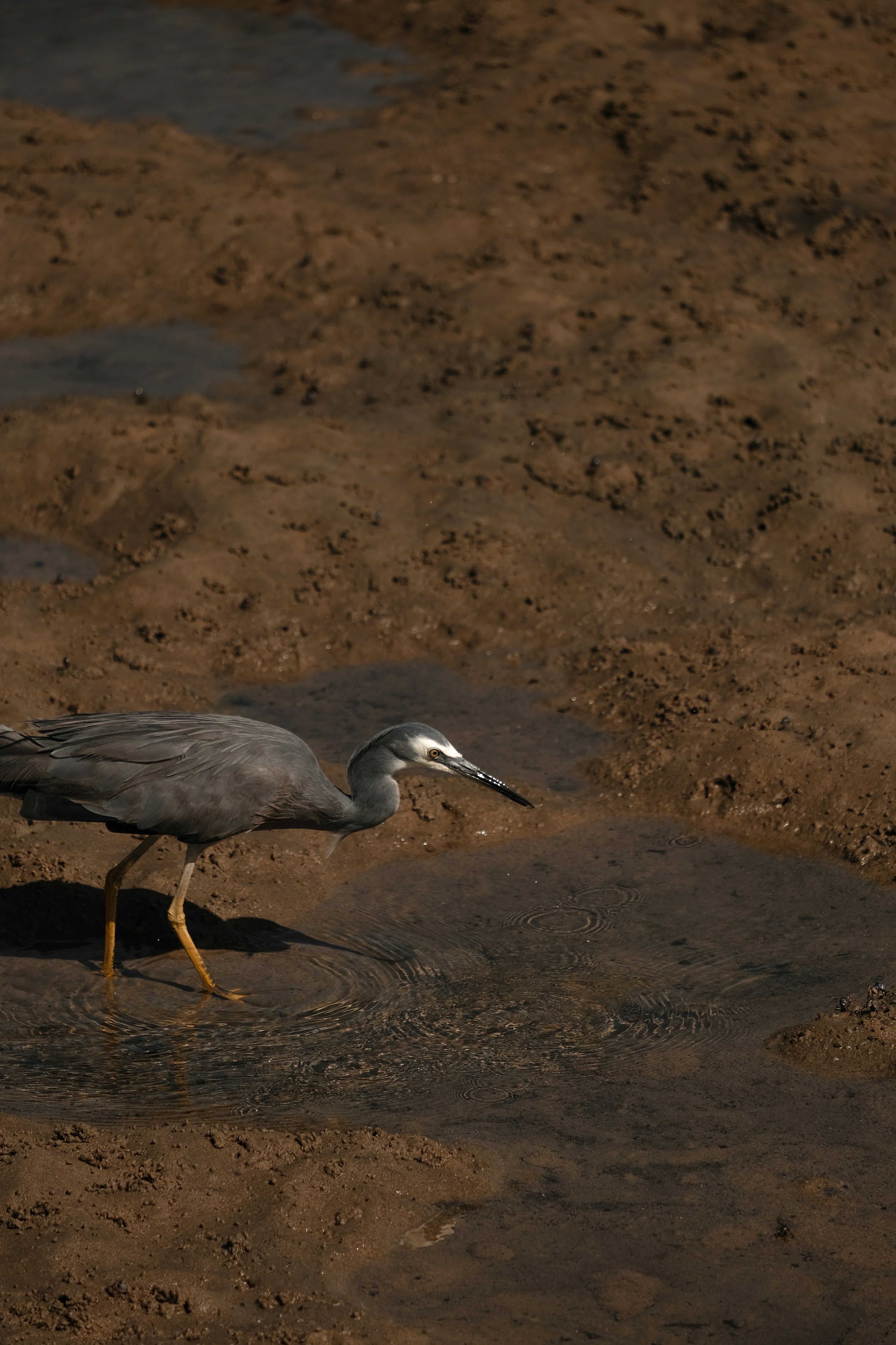 Photo by valeriiamiller