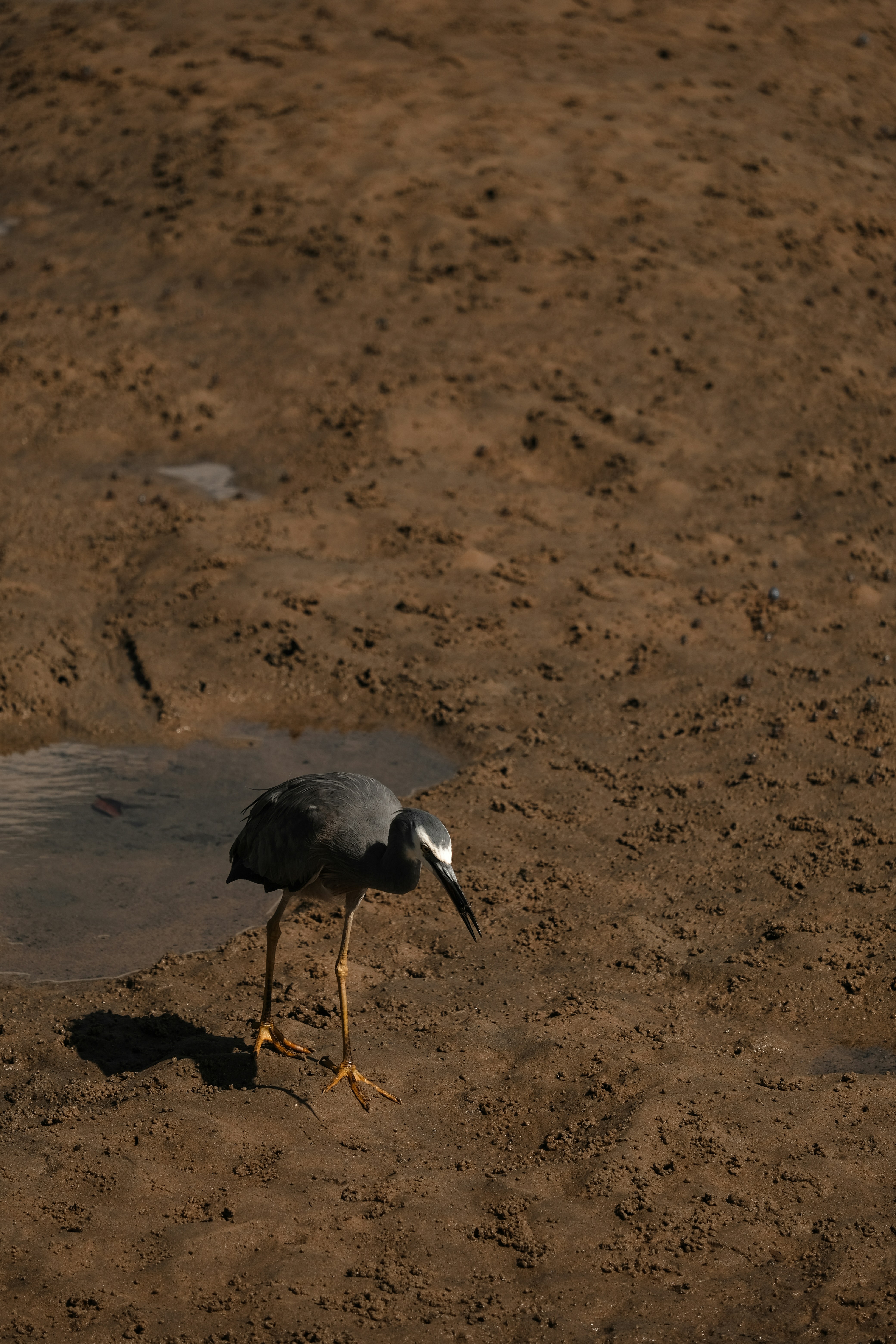 Photo by valeriiamiller